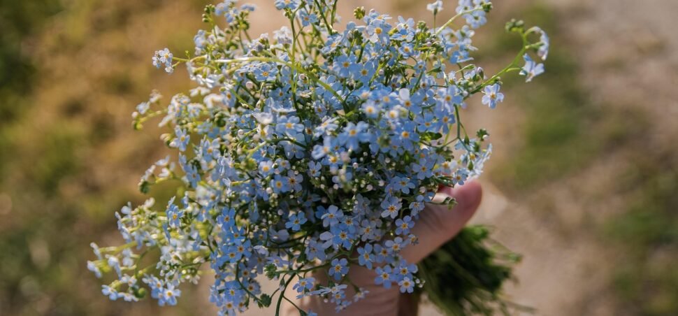 Duhovnost_ Duhovnost_