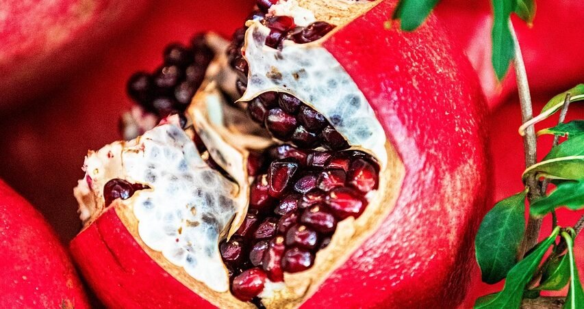 fruit-8283261_1280 fruit-8283261_1280