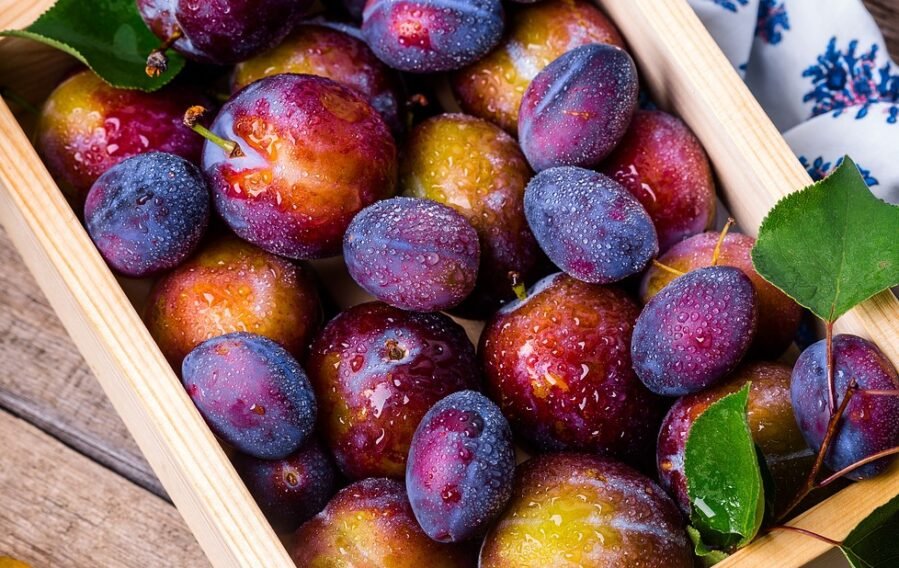 plums-1898196_1280 plums-1898196_1280