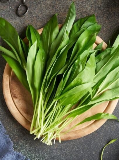 Medvjeđi luk Medvjeđi luk