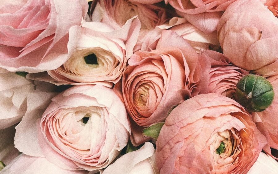 Ljubav u mojoj stvarnosti – što sam naučila