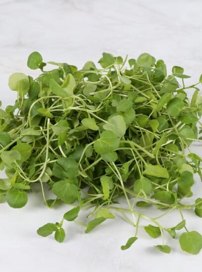 Potočarka Potočarka