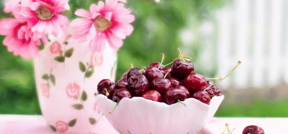 Trešnja_1 Trešnja_1